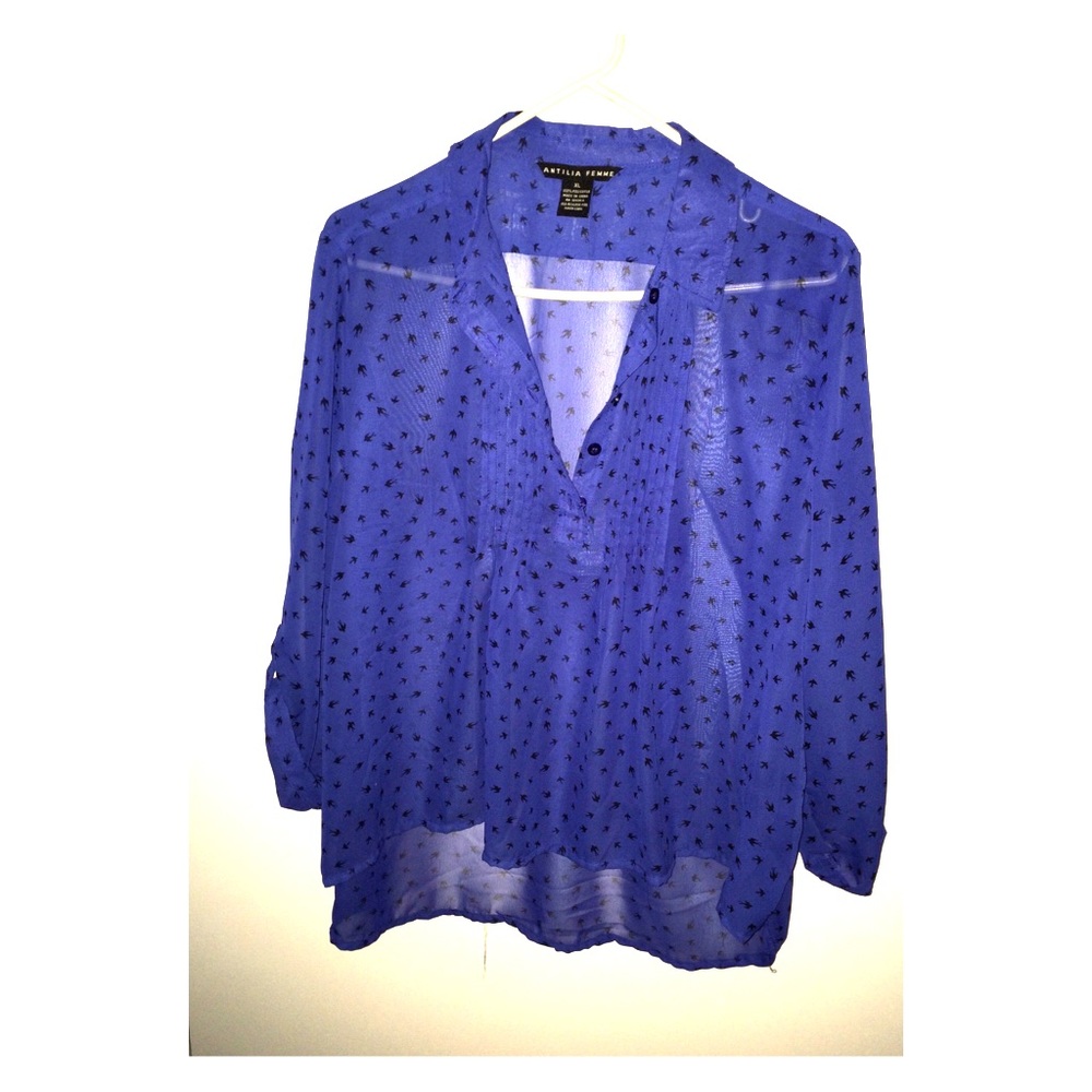 Beautiful sheer blouse